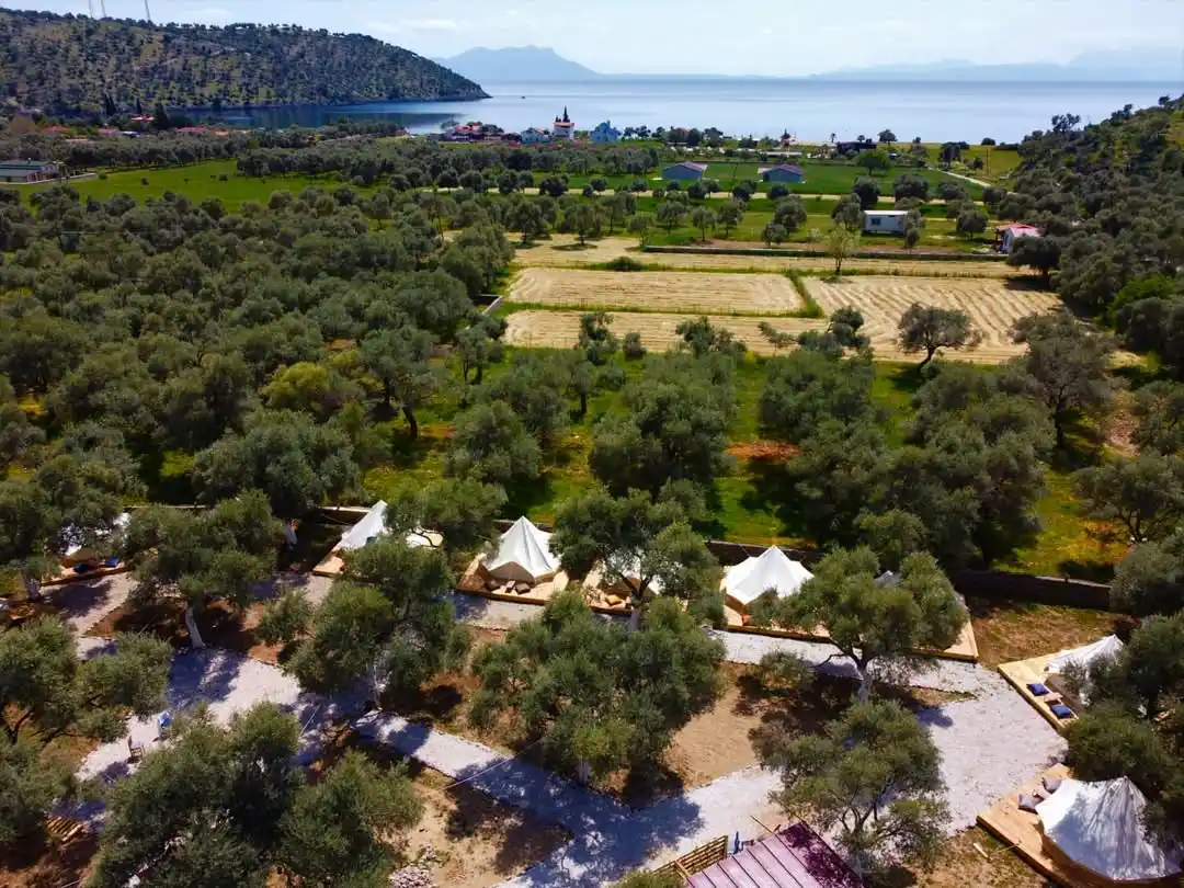 Ruina Glamping — A quiet retreat in Çökertme, tucked into the olive groves.